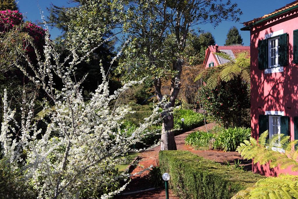 Quinta Santo Antonio Da Serra Kültér fotó
