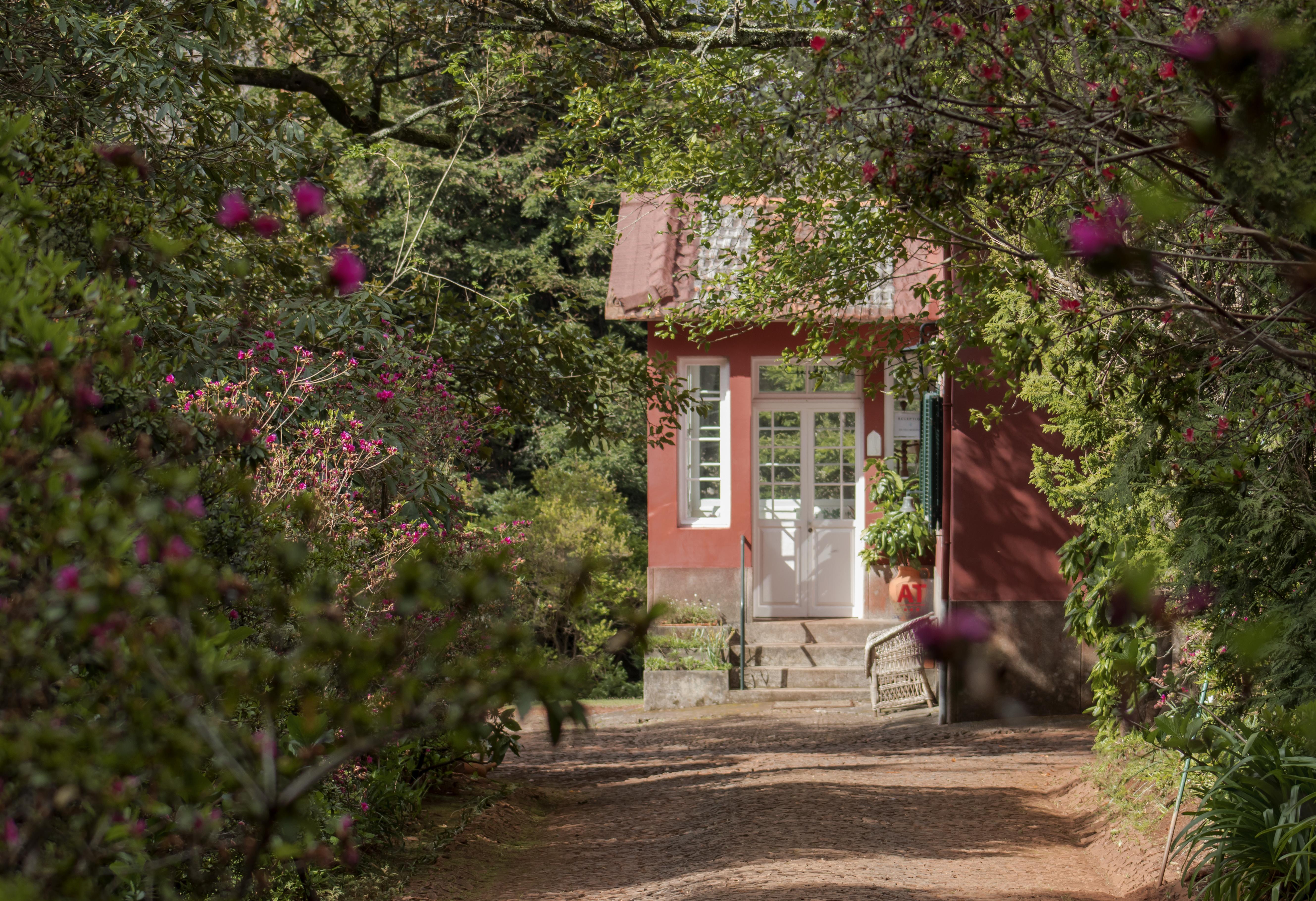 Quinta Santo Antonio Da Serra Kültér fotó