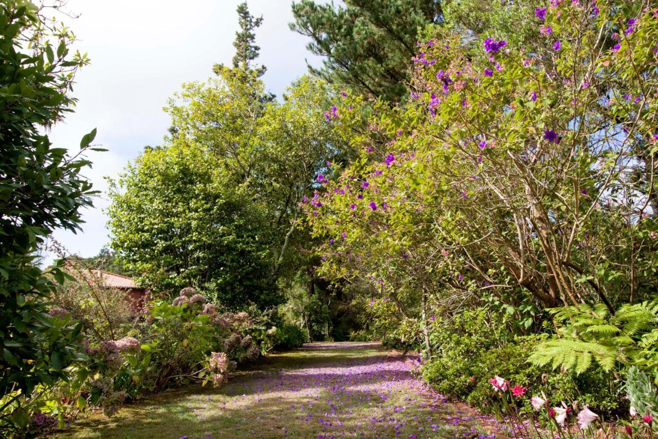 Quinta Santo Antonio Da Serra Kültér fotó