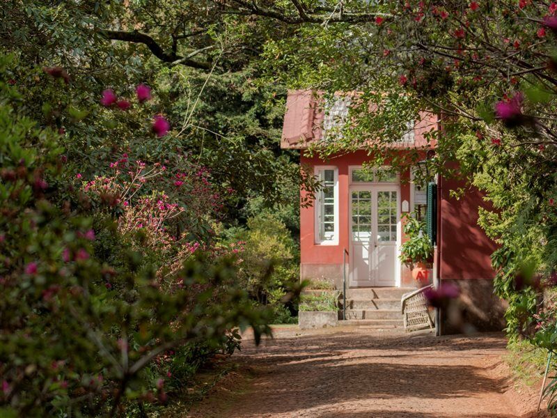 Quinta Santo Antonio Da Serra Kültér fotó